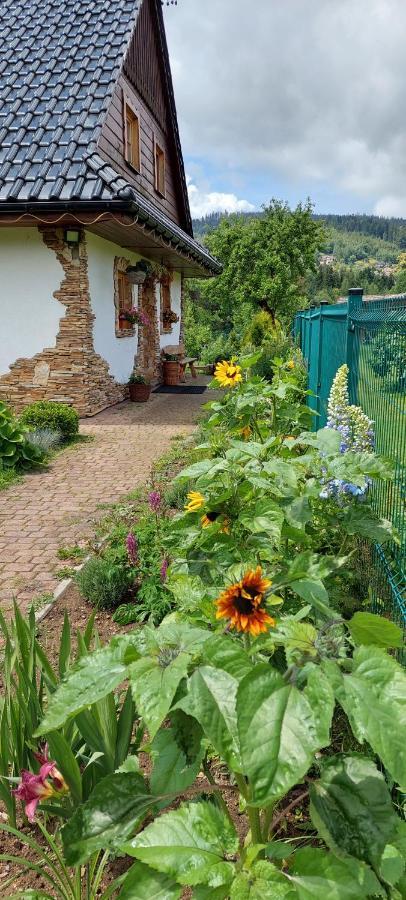 Staro Chalpa Villa Istebna Bagian luar foto